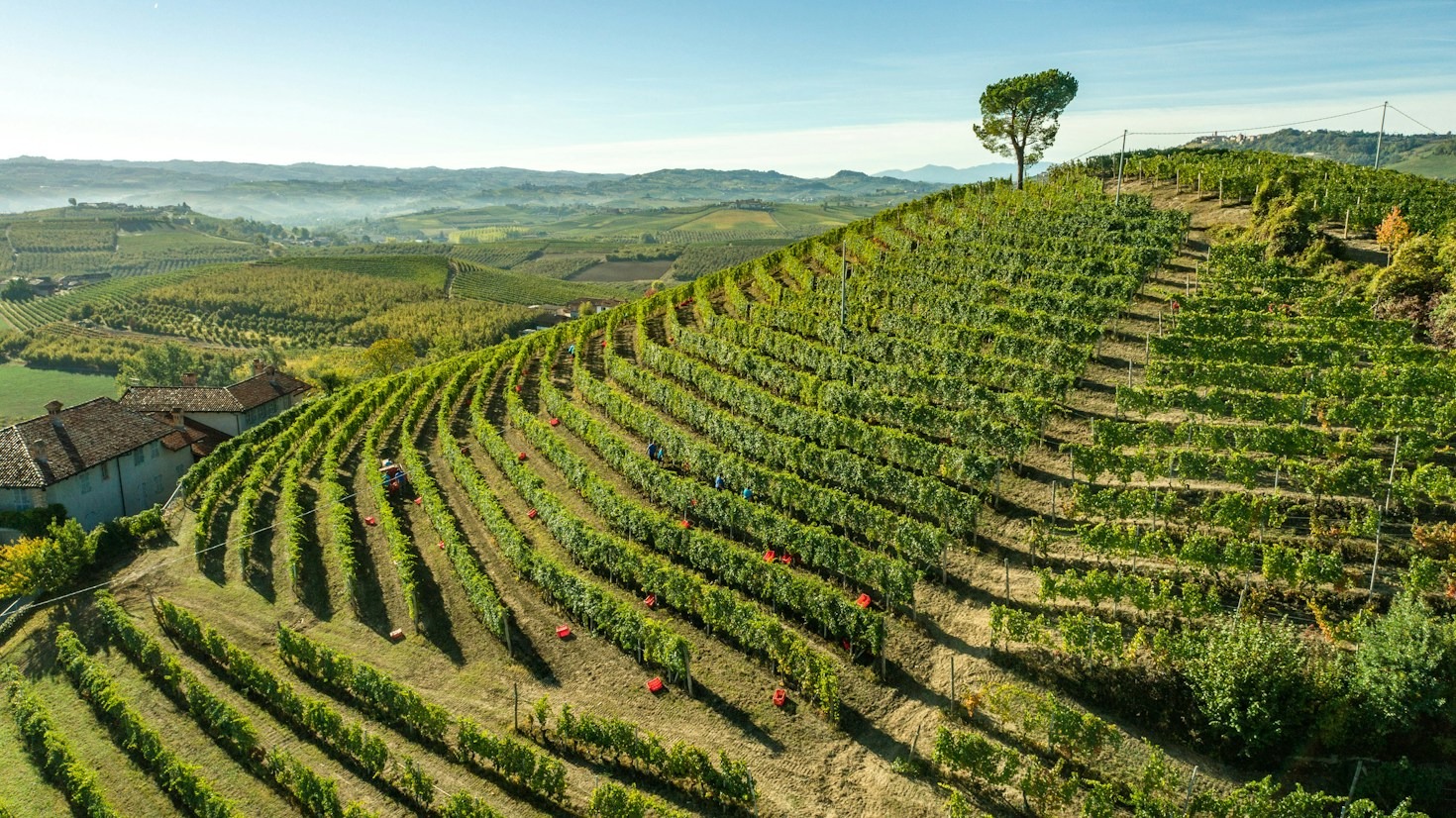 Ritratti di vignaioli: custodi di antiche tradizioni italiane